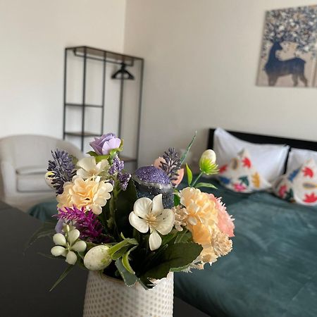 Apartament A&A جورا هومورولوي المظهر الخارجي الصورة